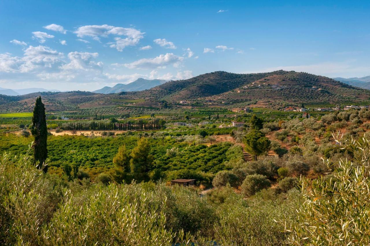 Ktima Constantin Villa Nafplio Eksteriør billede